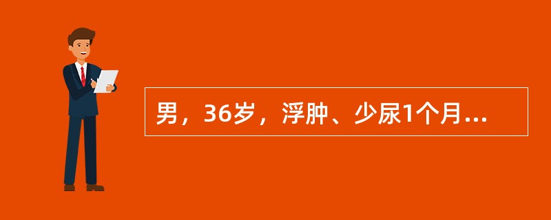 男，36岁，浮肿、少尿1个月，鼻出血3天，查体贫血貌，BP：160/90mmHg，Hb80g/L，尿蛋白（++），尿潜血（++），尿RBC6～8个/HP，血肌酐846μmol/L，B超左肾9.1cm×