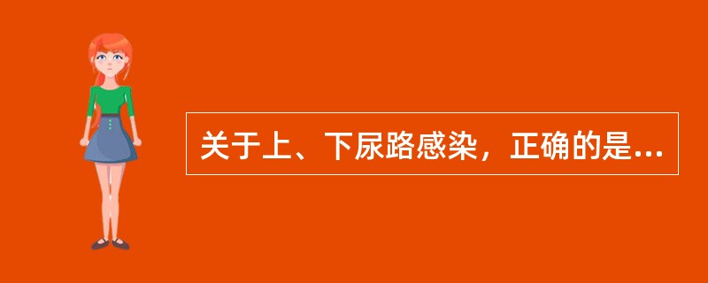 关于上、下尿路感染，正确的是（　　）。