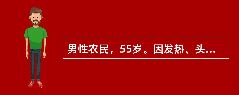 男性农民，55岁。因发热、头晕、鼻出血、皮肤瘀点伴关节酸痛2周来门诊。化验：Hb70g/L，WBC35×109/L，血小板20×109/L，外周血涂片有幼稚细胞。B超显示肝脾肿大，骨髓涂片示增生明显活