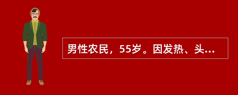 男性农民，55岁。因发热、头晕、鼻出血、皮肤瘀点伴关节酸痛2周来门诊。化验：Hb70g/L，WBC35×109/L，血小板20×109/L，外周血涂片有幼稚细胞。患者最主要治疗原则是（　　）。