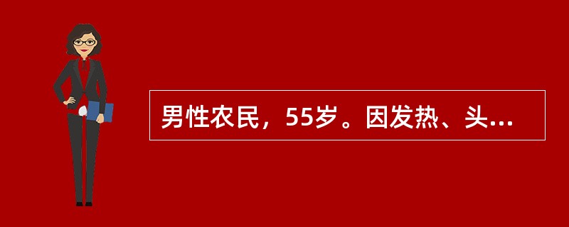 男性农民，55岁。因发热、头晕、鼻出血、皮肤瘀点伴关节酸痛2周来门诊。化验：Hb70g/L，WBC35×109/L，血小板20×109/L，外周血涂片有幼稚细胞。体检时最常见、最有意义的体征是（　　）