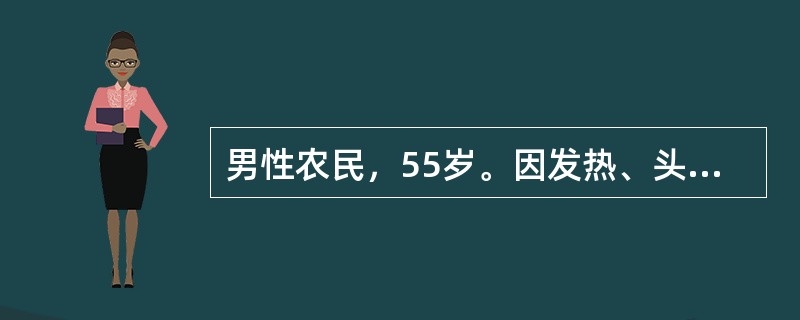 男性农民，55岁。因发热、头晕、鼻出血、皮肤瘀点伴关节酸痛2周来门诊。化验：Hb70g/L，WBC35×109/L，血小板20×109/L，外周血涂片有幼稚细胞。经过3个疗程联合化学治疗，骨髓复查幼稚