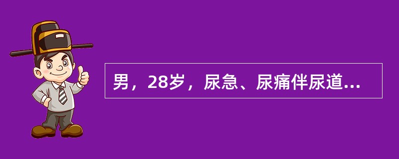 男，28岁，尿急、尿痛伴尿道口脓性分泌物2天就诊，患者否认有不洁性行为史。患者尿道分泌物涂片检查发现白细胞，其内有革兰阴性双球菌，该患者应诊断为（　　）。