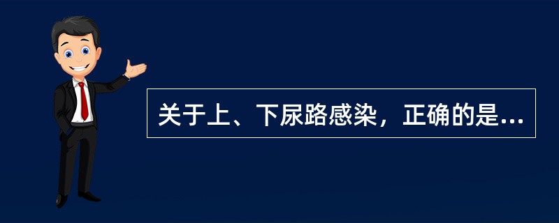 关于上、下尿路感染，正确的是（　　）。