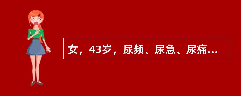 女，43岁，尿频、尿急、尿痛、腰痛伴发热，偶有寒战1日，T:39.2℃，膀胱区压痛，双肾区痛、尿常规：白细胞10～15/HP和管型，最可能的诊断是（　　）。