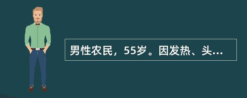 男性农民，55岁。因发热、头晕、鼻出血、皮肤瘀点伴关节酸痛2周来门诊。化验：Hb 70g/L，WBC 31．5×10<sup>9</sup>/L，血小板20×10<sup