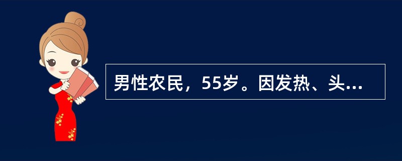 男性农民，55岁。因发热、头晕、鼻出血、皮肤瘀点伴关节酸痛2周来门诊。化验：Hb 70g/L，WBC 31．5×10<sup>9</sup>/L，血小板20×10<sup