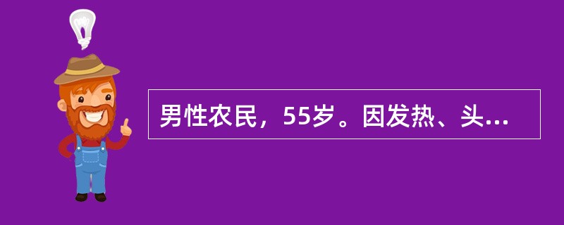 男性农民，55岁。因发热、头晕、鼻出血、皮肤瘀点伴关节酸痛2周来门诊。化验：Hb 70g/L，WBC 31．5×10<sup>9</sup>/L，血小板20×10<sup