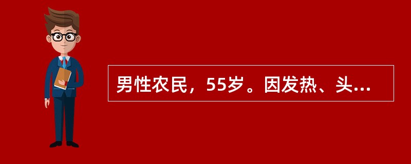 男性农民，55岁。因发热、头晕、鼻出血、皮肤瘀点伴关节酸痛2周来门诊。化验：Hb 70g/L，WBC 31．5×109/L，血小板20×109/L，外周血涂片有幼稚细胞。[假设信息]假如患者2个疗程化