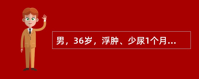 男，36岁，浮肿、少尿1个月，鼻出血3天，查体贫血貌，BP：160/90mmHg，Hb 80g/L，尿蛋白（++），尿潜血（++），尿RBC 6～8个/HP，血肌酐846μmol/L，B超左肾9.1c
