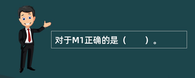 对于M1正确的是（　　）。