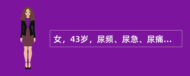 女，43岁，尿频、尿急、尿痛、腰痛伴发热，偶有寒战1日，T:39.2℃，膀胱区压痛，双肾区痛、尿常规：白细胞10～15/HP和管型，最可能的诊断是（　　）。