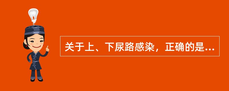 关于上、下尿路感染，正确的是（　　）。