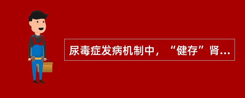 尿毒症发病机制中，“健存”肾单位学说的内容是（　　）。