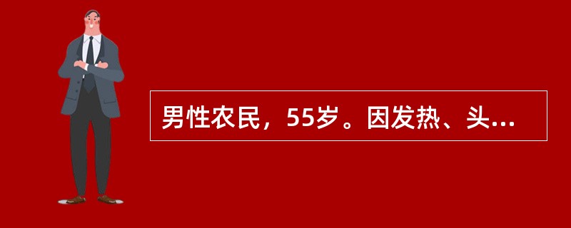 男性农民，55岁。因发热、头晕、鼻出血、皮肤瘀点伴关节酸痛2周来门诊。化验：Hb 70g/L，WBC 31．5×109/L，血小板20×109/L，外周血涂片有幼稚细胞。<p>体检时最常见