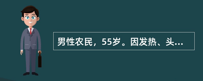 男性农民，55岁。因发热、头晕、鼻出血、皮肤瘀点伴关节酸痛2周来门诊。化验：Hb 70g/L，WBC 31．5×109/L，血小板20×109/L，外周血涂片有幼稚细胞。<p>为明确诊断最