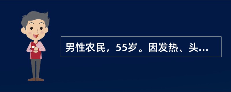 男性农民，55岁。因发热、头晕、鼻出血、皮肤瘀点伴关节酸痛2周来门诊。化验：Hb 70g/L，WBC 31．5×109/L，血小板20×109/L，外周血涂片有幼稚细胞。<p>经过3个疗程