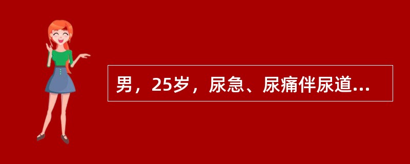 男，25岁，尿急、尿痛伴尿道口脓性分泌物2天就诊，分泌物涂片检查发现白细胞内大量革兰阴性双球菌，患者应该是下列哪项诊断？（　　）