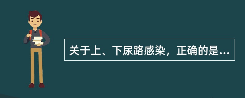 关于上、下尿路感染，正确的是（　　）。