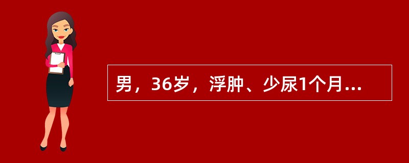 男，36岁，浮肿、少尿1个月，鼻出血3天，查体贫血貌，BP：160/90mmHg，Hb 80g/L，尿蛋白（++），尿潜血（++），尿RBC 6～8个/HP，血肌酐846μmol/L，B超左肾9.1c