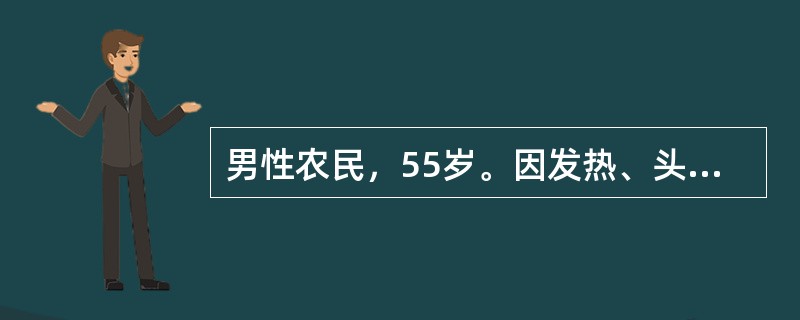 男性农民，55岁。因发热、头晕、鼻出血、皮肤瘀点伴关节酸痛2周来门诊。化验：Hb 70g/L，WBC 31．5×109/L，血小板20×109/L，外周血涂片有幼稚细胞。经过3个疗程联合化学治疗，骨髓