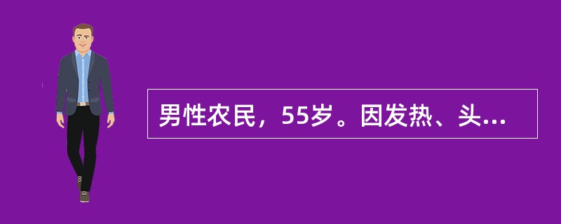 男性农民，55岁。因发热、头晕、鼻出血、皮肤瘀点伴关节酸痛2周来门诊。化验：Hb 70g/L，WBC 31．5×109/L，血小板20×109/L，外周血涂片有幼稚细胞。体检时最常见、最有意义的体征是