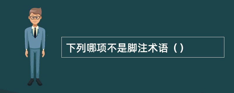 下列哪项不是脚注术语（）