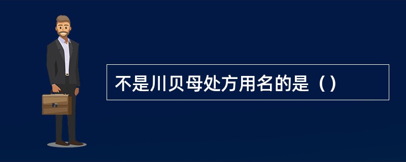 不是川贝母处方用名的是（）