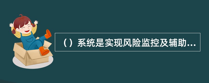 （）系统是实现风险监控及辅助管理的会计信息系统。