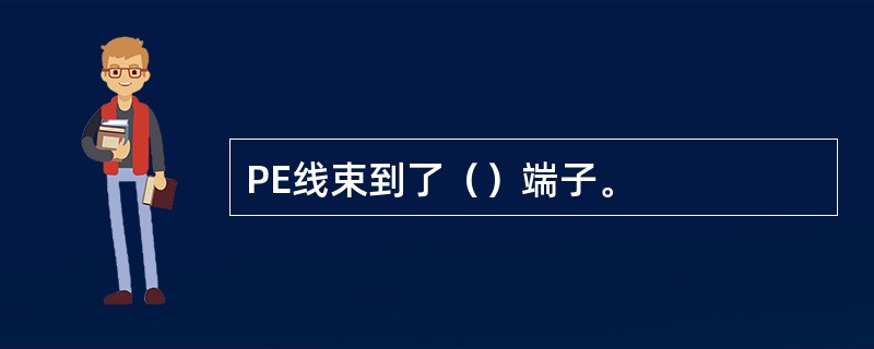 PE线束到了（）端子。