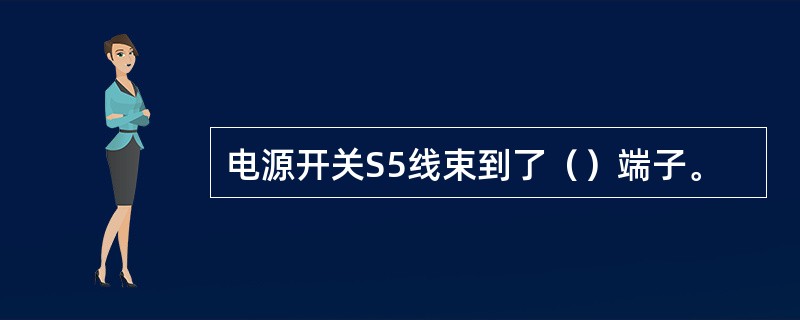 电源开关S5线束到了（）端子。