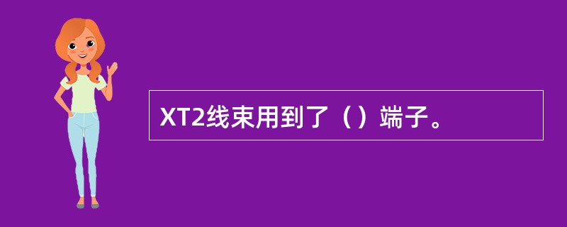 XT2线束用到了（）端子。