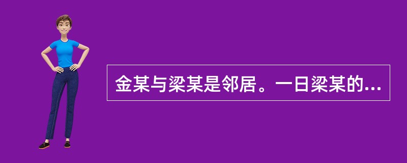 金某与梁某是邻居。一日梁某的孩子小勇（8岁）和金某的儿子小海（15岁）玩耍时，将