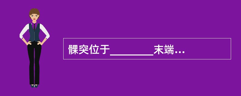 髁突位于________末端，呈椭圆形突起，髁突前后径比内外径_____，从侧面