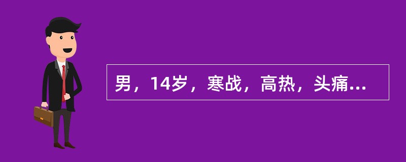 男，14岁，寒战，高热，头痛，呕吐，昏迷12小时，皮肤大片瘀斑，颈强直，瞳孔左＞