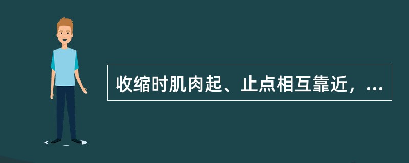 收缩时肌肉起、止点相互靠近，肌肉缩短的为（）。