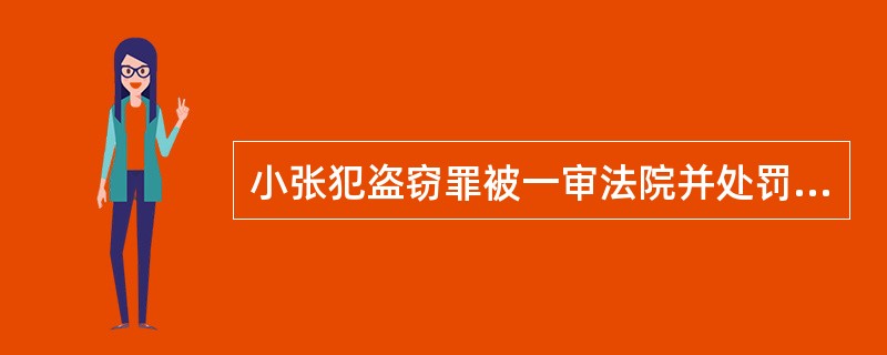 小张犯盗窃罪被一审法院并处罚金5000元，小张提起上诉，二审法院维持了一审法院的