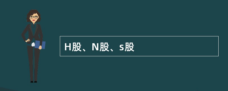 H股、N股、s股