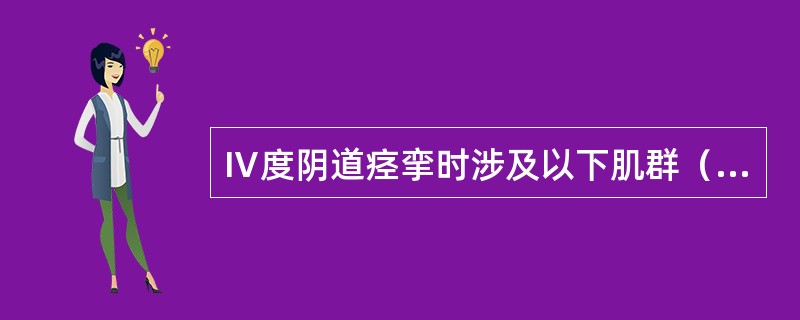 Ⅳ度阴道痉挛时涉及以下肌群（）。