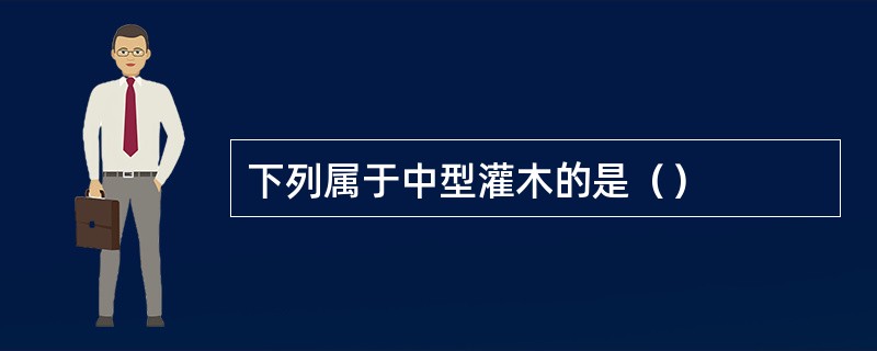 下列属于中型灌木的是（）
