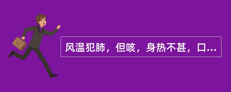 风温犯肺，但咳，身热不甚，口微渴者，治宜选用（）。