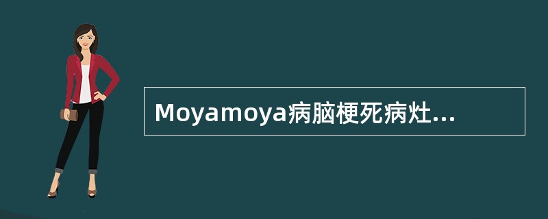 Moyamoya病脑梗死病灶多位于（）