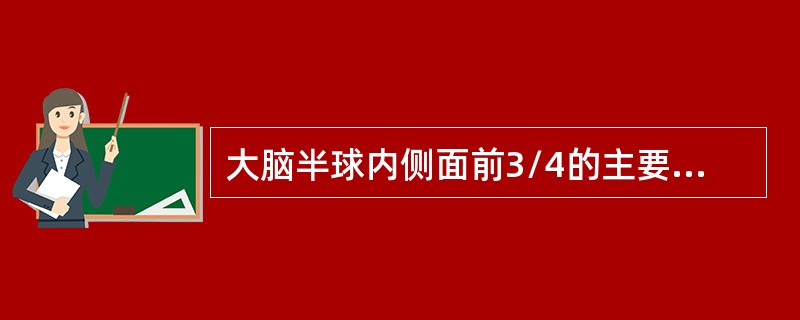 大脑半球内侧面前3/4的主要供血动脉是（）