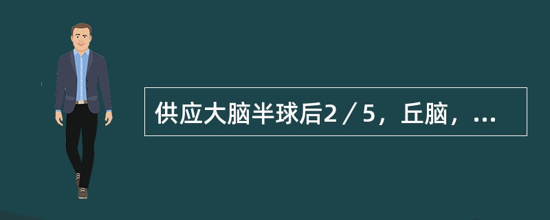 供应大脑半球后2／5，丘脑，内囊后支后1／3，全部脑干和小脑的动脉是（）