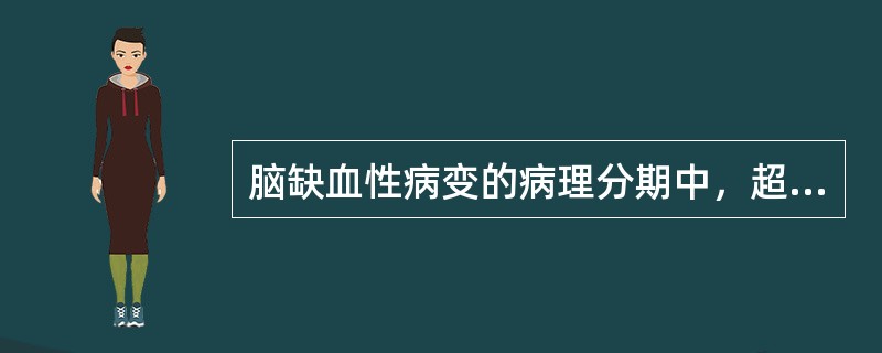 脑缺血性病变的病理分期中，超早期在（）