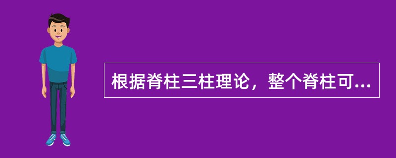 根据脊柱三柱理论，整个脊柱可分成前、中、后三柱，中柱包括（）