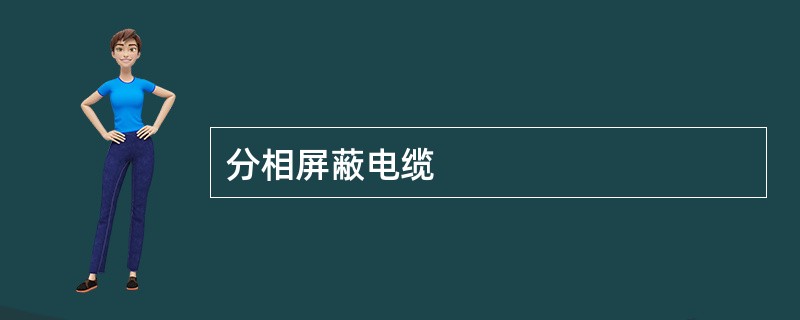 分相屏蔽电缆