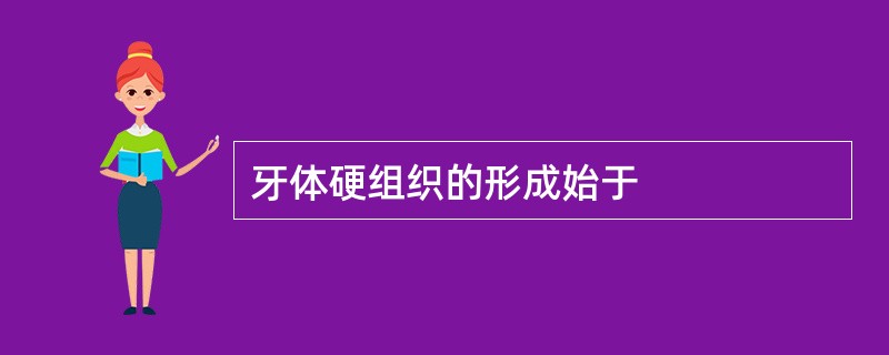 牙体硬组织的形成始于