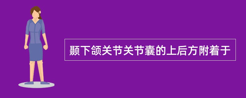 颞下颌关节关节囊的上后方附着于