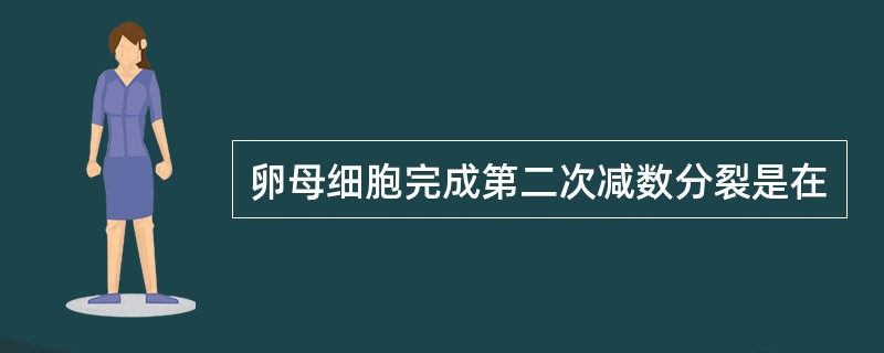 卵母细胞完成第二次减数分裂是在